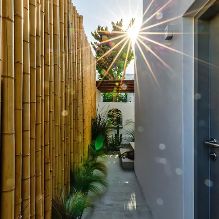 Silver Thea باروس